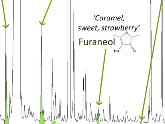 Spectroscopy data for one of Morgan's projects