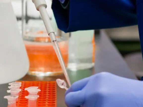 Quality control monitor the finished flavour