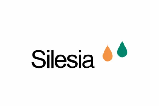 Silesia logo